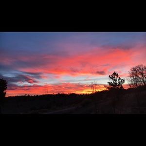 Meet your Posher, Calista